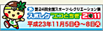 スポレクエコとちぎ2011